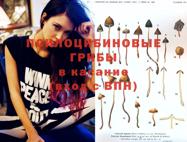 прущие крисы Вяземский