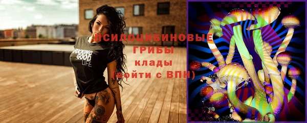 шишки Вязьма