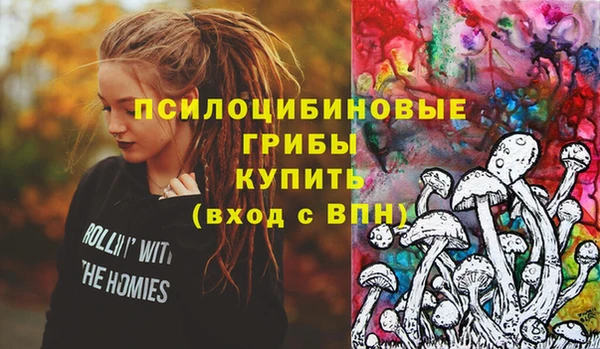 первитин Каменка