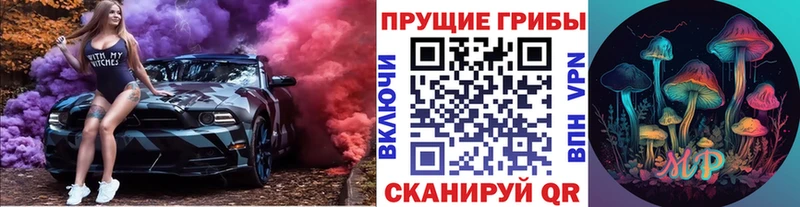 цена   Звенигово  Галлюциногенные грибы Cubensis 
